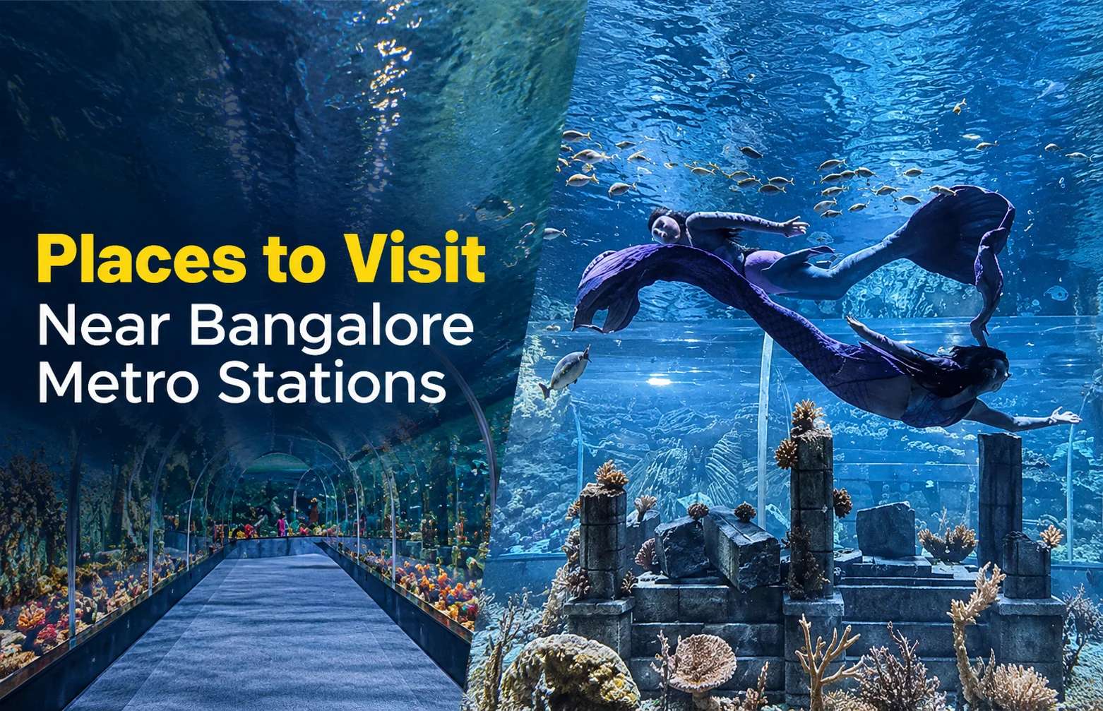 Places to Visit Near Bangalore Metro Stations: A Practical Sightseeing Guide